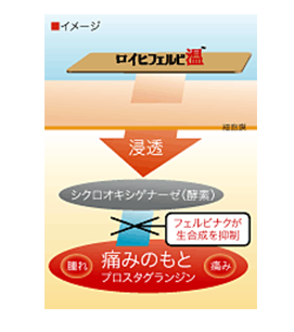 腰痛に 肩こりに