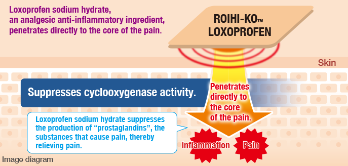 ROIHI-KOTM LOXOPROFEN

Suppresses cyclooxygenase activity.

Penetrates directly to the core of the pain.
inflammation
pain